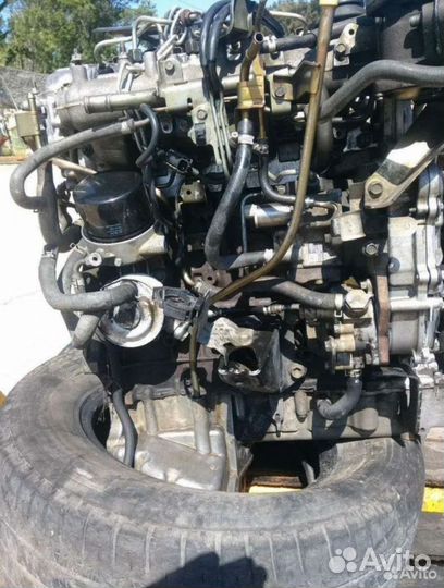 Двигатель Ниссан Навара 2,5cdi (d25)