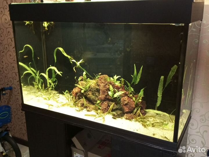 Аквариум 240 литров с тумбой