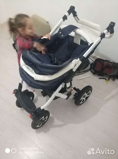 Коляска 2 в 1 adamex Barletta