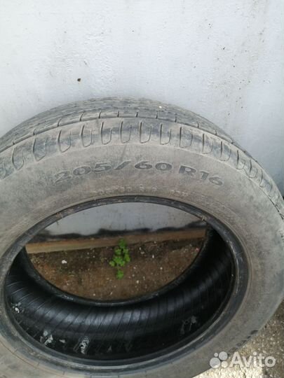 Pirelli Cinturato P7 205/60 R16