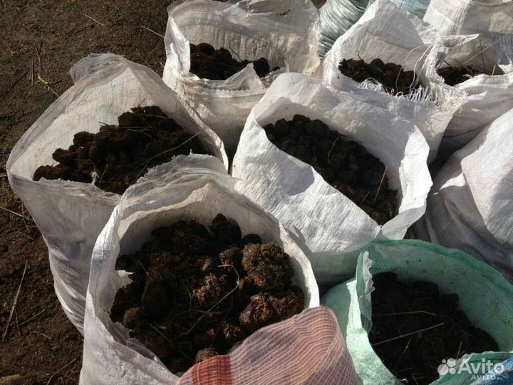 Перегной новоз конский коровий