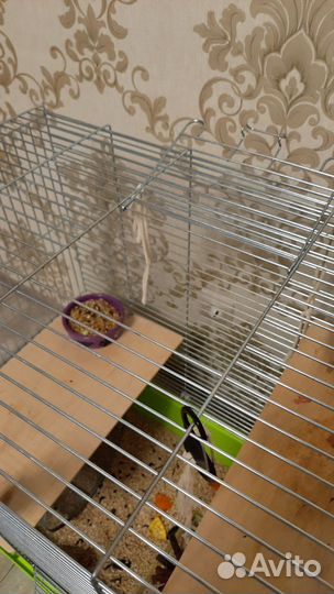 Клетка для грызунов б/у