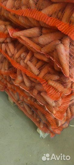 Морковь оптом