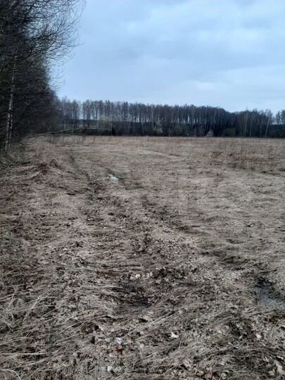 Участок 4,4 га (СНТ, ДНП)