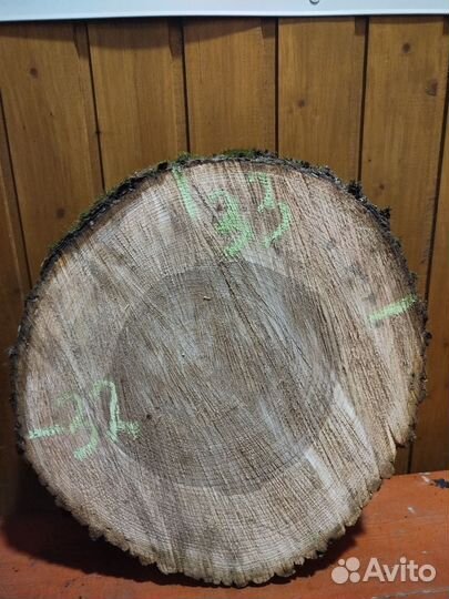 Ясень сухие спилы дерева