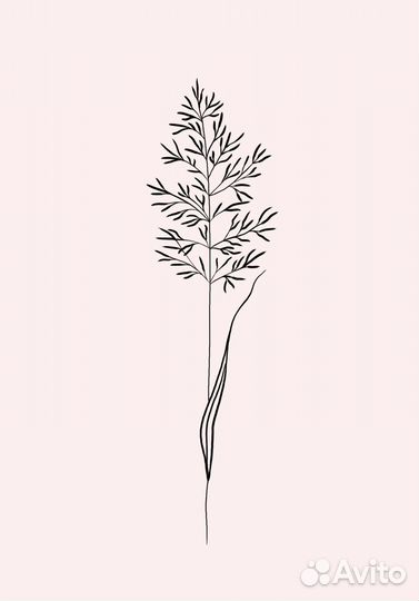 Модель для тату