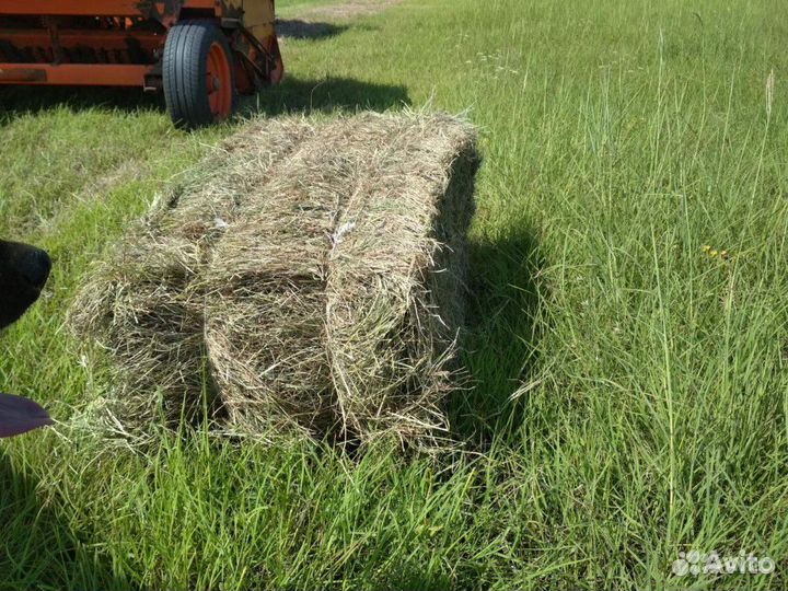 Сено в тюках