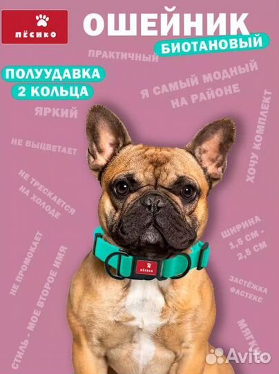 Ошейник для собак