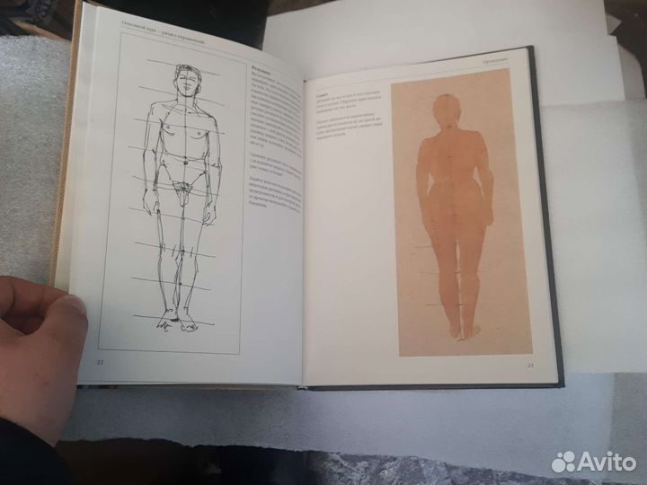 Полный курс рисунка обнаженной натуры