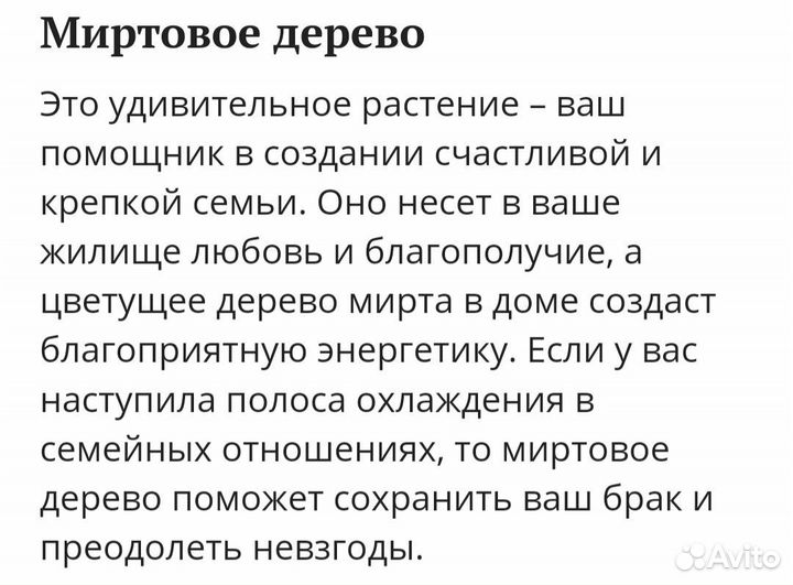 Мирт