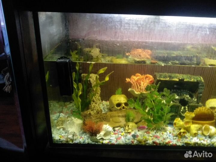 Аквариум
