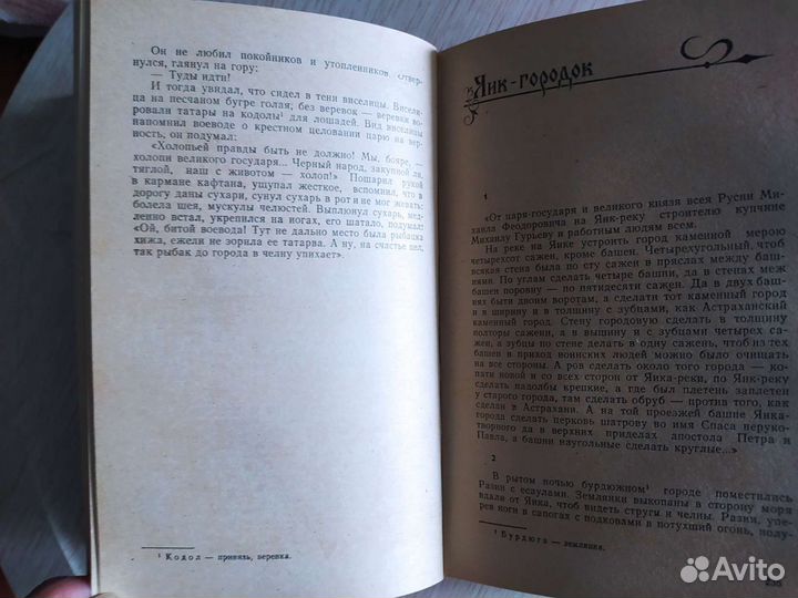 Алексей Чапыгин - Степан Разин