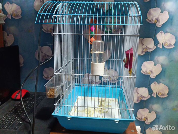 Клетка вольер для птиц