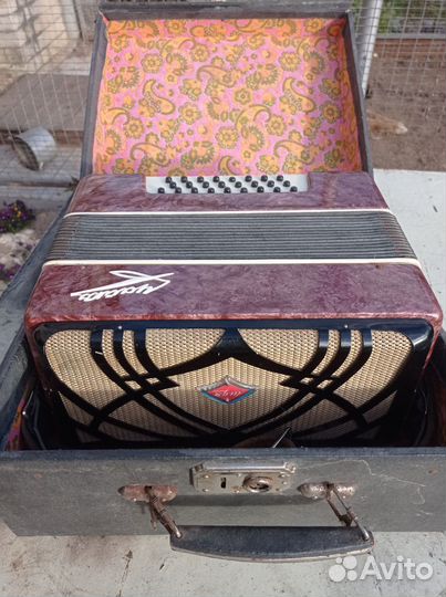 Гармонь чайка