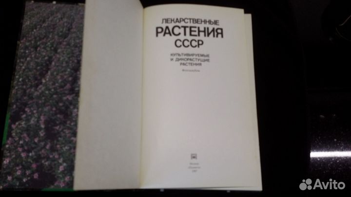 Лекарственные растения СССР, фотоальбом, 1987