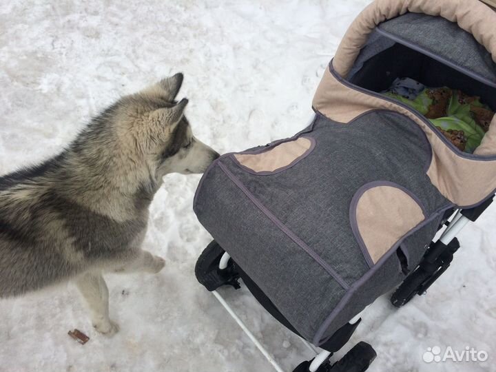 Коляска-трансформер Babyton Pillo