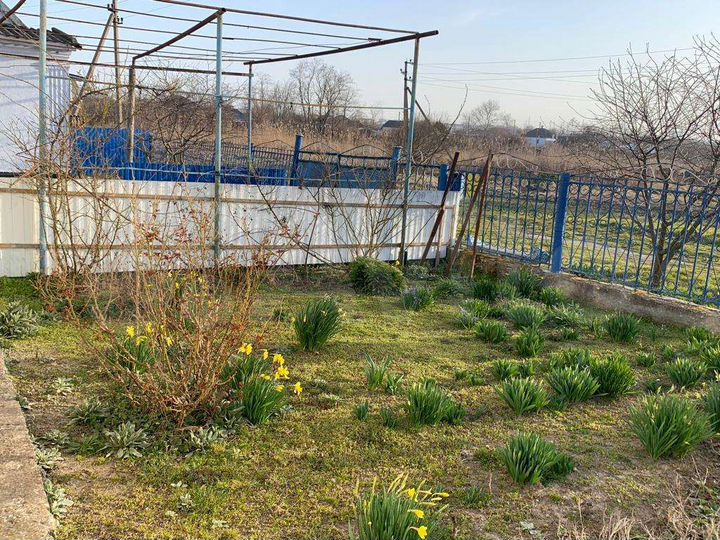 Коттедж 52,6 м² на участке 23 сот.