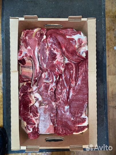 Мясо телятина