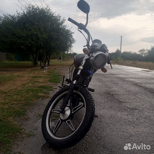 Альфа rx 125