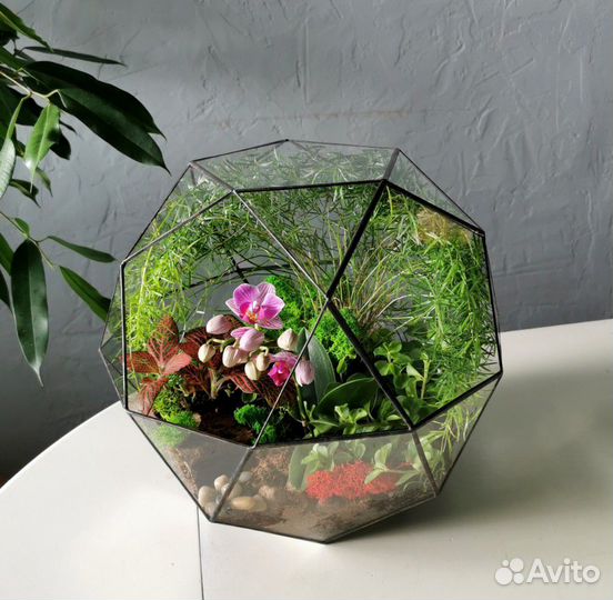 Орхидариум в шаре, L