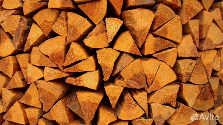 Дрова без плесени