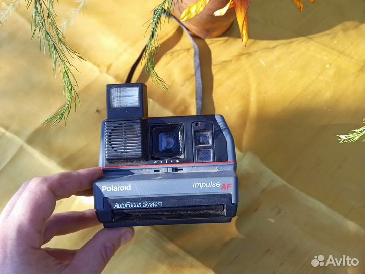 Polaroid