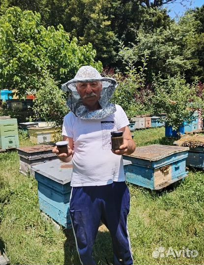 Мед с травами от паразитов в организме