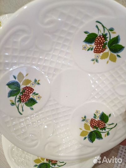 Тарелки зик, СССР