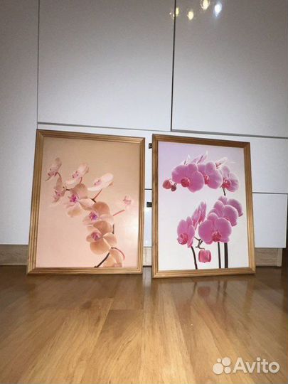 Картины декор орхидеи для интерьера