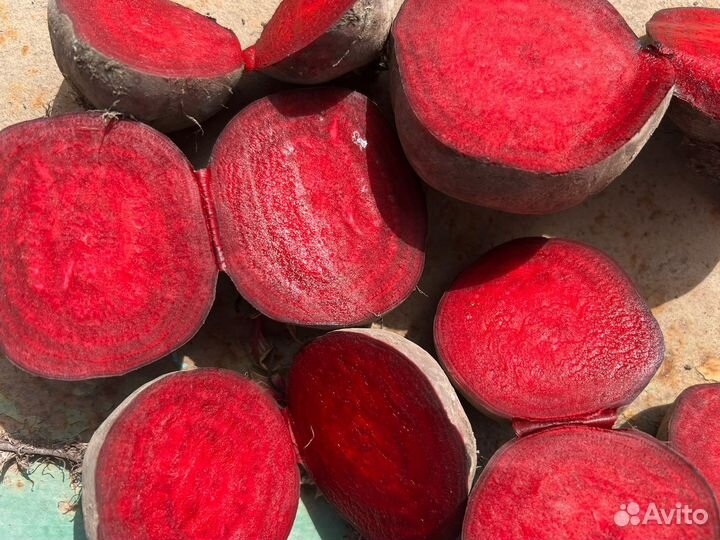 Продам свёклу оптом