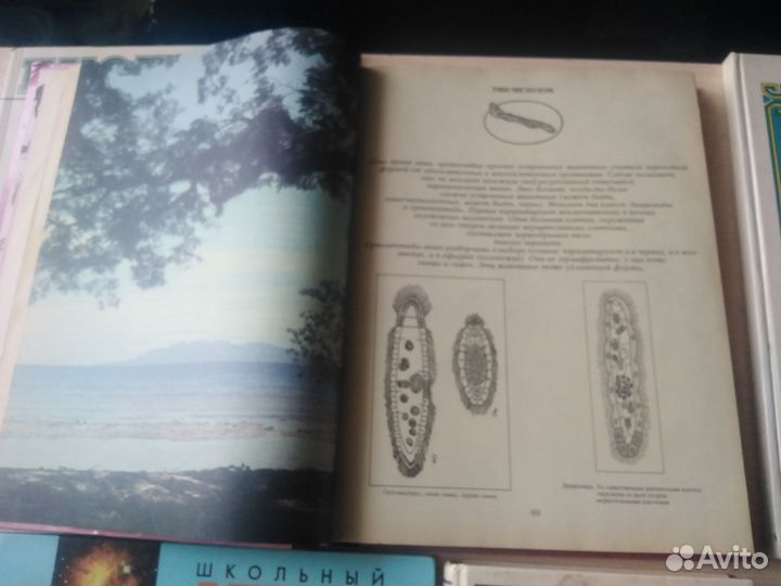 Книги разные обучающие