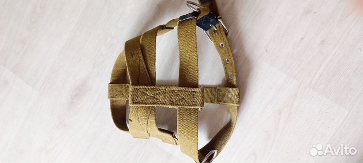 Шлейка для собаки 1