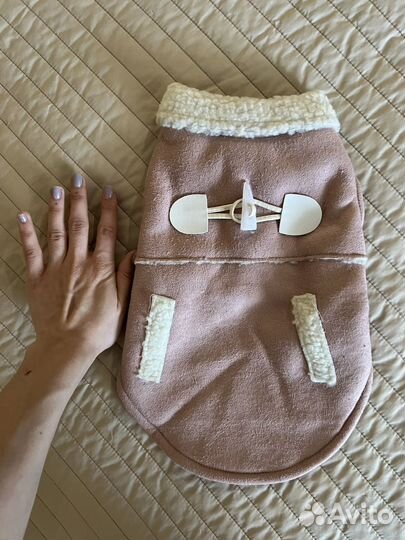 Костюм для небольшой собаки