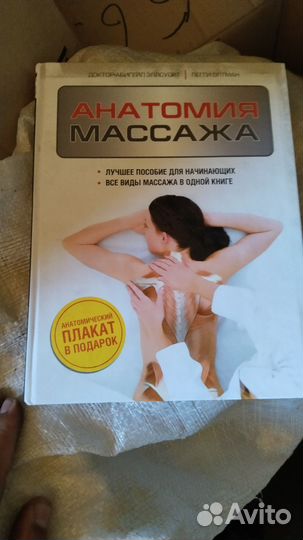 Анатомия массажа