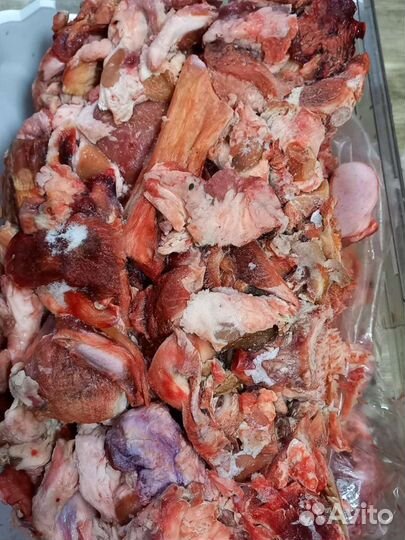 Мясо для собак говядина обрезь