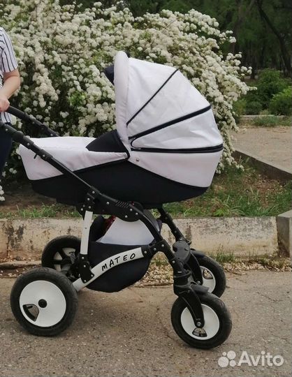 Коляска 2 в 1 alis moteo