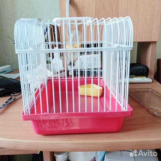 Клетка для грызунов маленькая