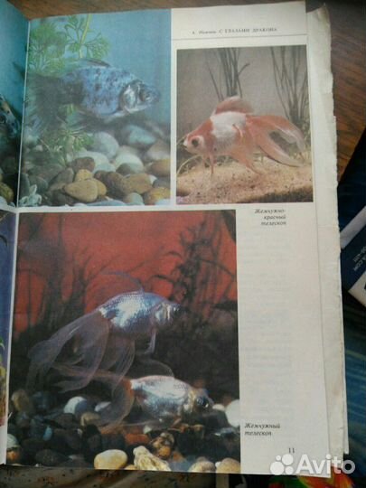 Журналы об аквариумных рыбках