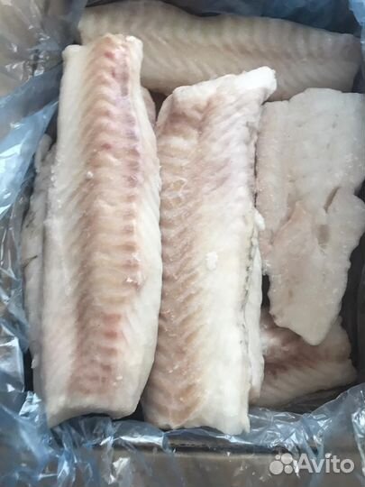 Филе мурманской трески (лоин) 5,3кг