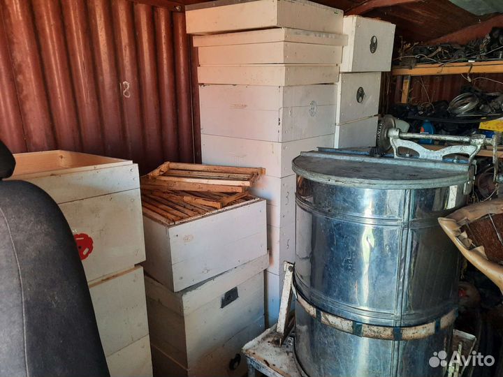 Продам пасеку