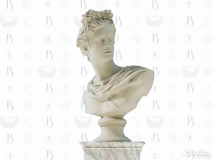 Бюст аполлон бельведерский 75 см