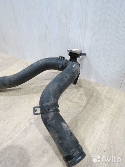 Горловина радиатора Kia Rio 3