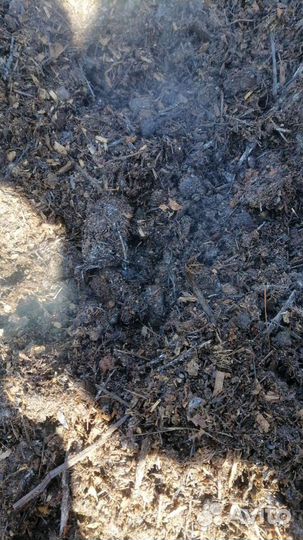 Конский навоз, перегной частного подворья