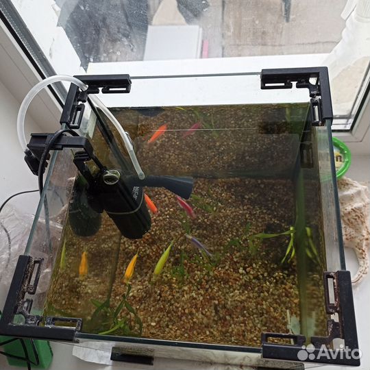 Аквариум на 20 литров