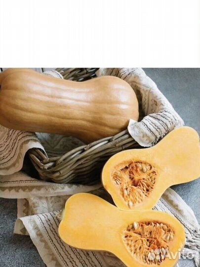 Тыква оранжевая,Матильда и кабачки