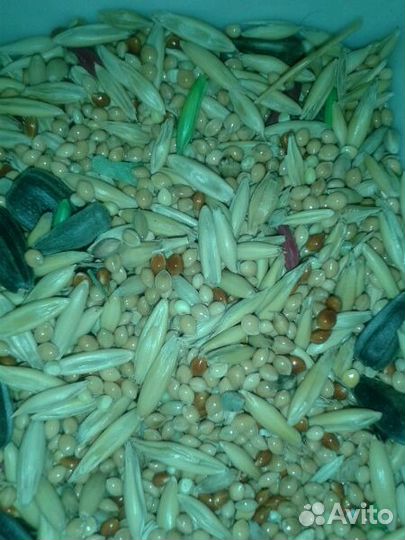 Корм для попугаев Со злаками)