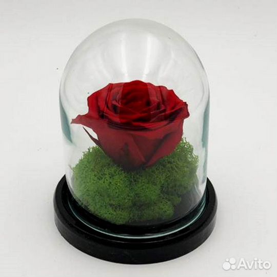 Неувядающая роза в колбе