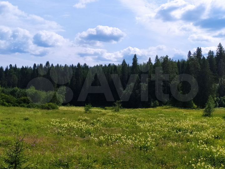 Участок 14 сот. (ИЖС)