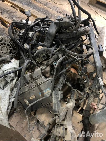 Шкиф коленвала