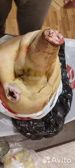 Продукты питания